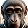 gregariousbaboon's Avatar