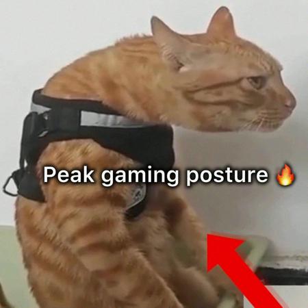skuddat789489's Avatar